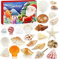 OCreon Calendrier de l'Avent de Noël 2025 - 24 jours à compter - Cadeau sur le thème de la plage et des vacances nautiques, avec une étoile de mer