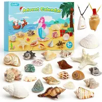 OCreon Calendrier de l'Avent 2025 pour enfants - Calendrier de l'Avent de Noël pour compter 24 jours - Calendrier de l'Avent sur le thème des coquillages - 6 cadeaux de Noël