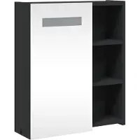Syfax Armoire de salle de bain à miroir avec LED noir 45x13x52 cm