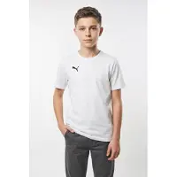 Puma T-shirt Team Goal 65861604