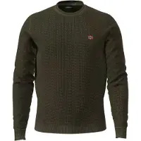 Napapijri Sweat-shirt 'DROZ 5' sapin