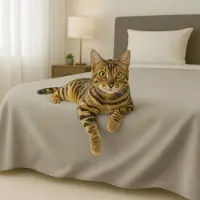 OEM Housse de couette en mélange de Coton, pour lit double king-size, lavable et facile d'entretien