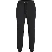 Jack & Jones Plus Pantalon de sport 'JPSTGordon JJBradley' noir
