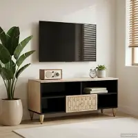 Prolenta Meuble TV exclusif - 100x33x46 cm, en bois massif de manguier