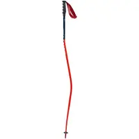 Swix Bâtons World Cup Pro Donwhill