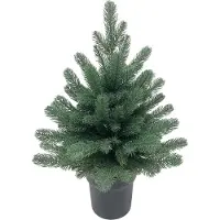 Magic Home Sapin de Noël MagicHome Firian, 3D, épicéa en pot, 60 cm