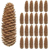 Merkloos 24 grandes pommes de pin pour une décoration créative