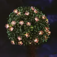 HomeShopXL GLOBIZ Guirlande lumineuse solaire - motif floral - 2,4 mètres - 25 LED blanc chaud