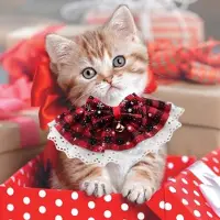 Markenlos Collier de Noël pour chats - Lot de 3 avec clochettes, motif à carreaux rouge, vert et noir festif, décoration de Noël idéale pour les animaux de compagnie