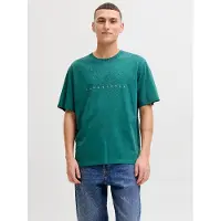 Jack & Jones T-Shirt 'JJEStar' émeraude / blanc