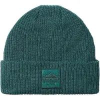 Smartwool Patch Beanie Vert