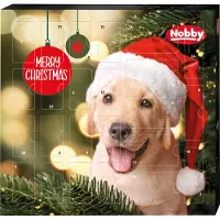 Nobby Calendrier de l'Avent StarSnack pour chiens