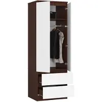 RAUMHIRSCH FURNITURE Armoire S60 60 cm, penderie à 2 portes et 2 tiroirs, finition brillante, hauteur 180 cm, modèle STAR