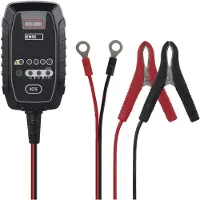 Emos Chargeur de batterie de voiture /12V 0,8A (0.80 A, 12V, 6V)