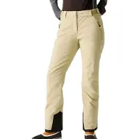 Dare 2b Pantalon de ski Diminish Femmes
