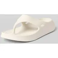 Lacoste Tongs Meduz