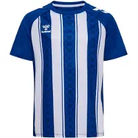 Hummel T-Shirt fonctionnel bleu / blanc