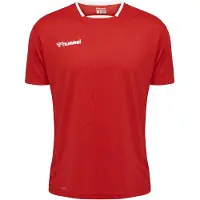 Hummel T-Shirt fonctionnel 'Authentic' gris basalte / rouge vif / noir / blanc
